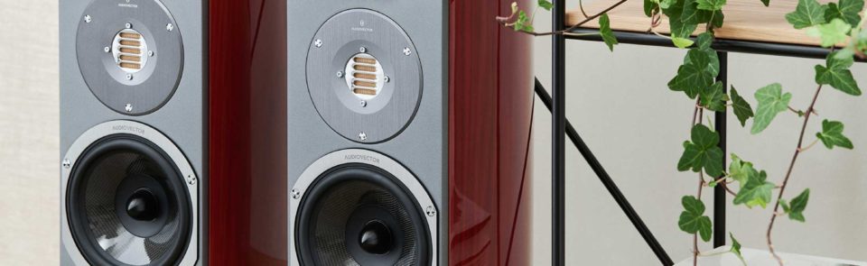OFERTA AUDIOVECTOR SR1